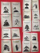 18 - Vtg - Bonsai Clubs