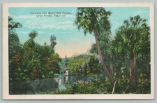 Ocala Florida~Tourist on