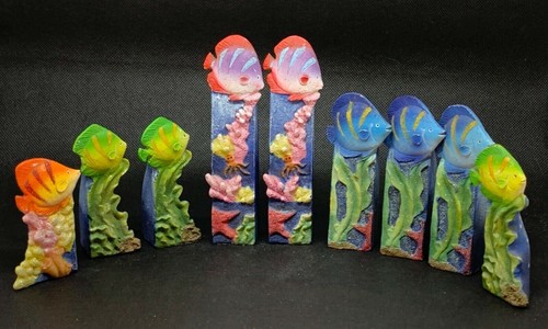 Tropical fish aquarium - fish,