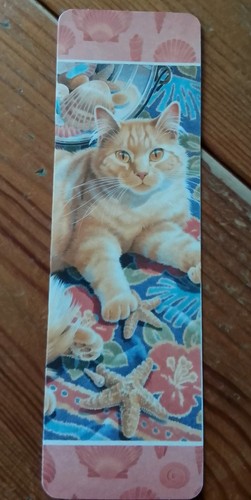 Cute cat gallery - cat,