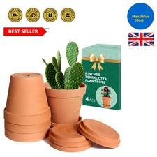 Elegant 15cm Terra Cotta