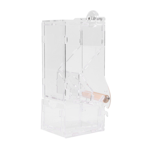 Automatic bird feeder acrylic - bird,
