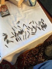 Vintage Mixed Calligraphy Dip