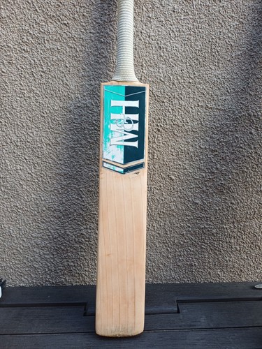 English willow cricket - english, bat