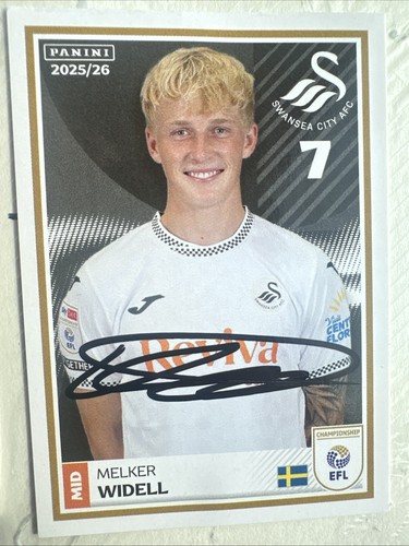 Swansea city melker widell - city,