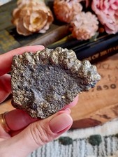 Indian Pyrite After Marcasite