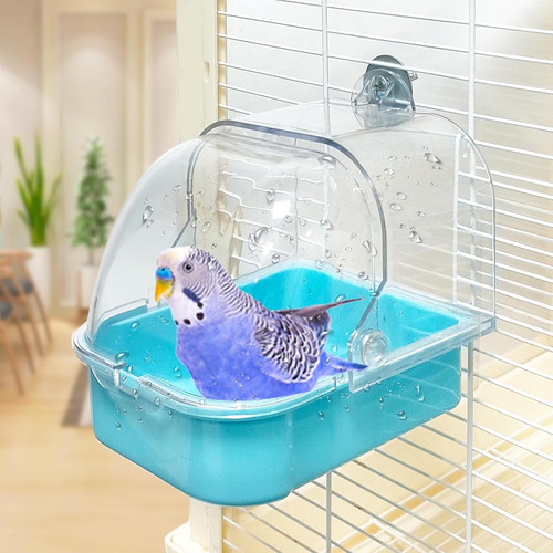 Bird bath for - bird,
