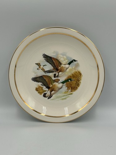 Vintage wildlife flying duck - vintage,