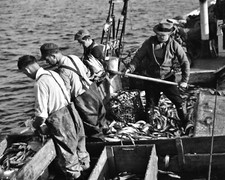 Commercial Fishermen 1937