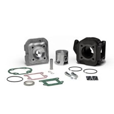 Malossi cast iron pin 10 - d,