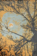 Modern Abstract Area Rug 6x8