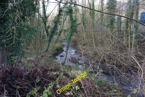 Photo 12x8 bentley brook - 12x8,