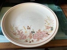 Vintage Boots Hedge Rose Large Dinner Plates 10 Inch /25.5 Cm Lots Of Marks