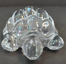 DAUM TORTOISE CLEAR STUNNING