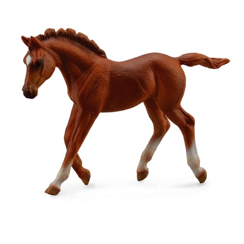 Collecta thoroughbred foal - collecta,