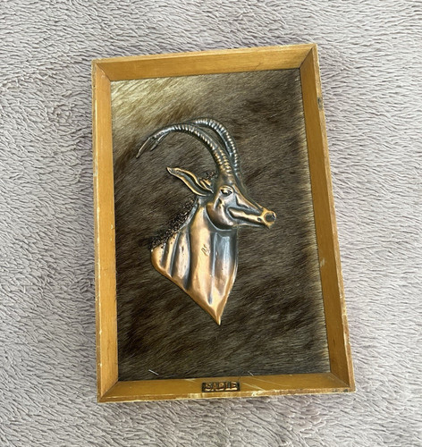 Framed antelope head relief - head,
