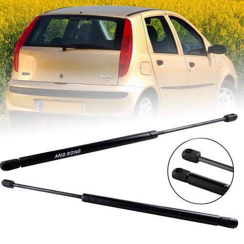 Tailgate boot gas struts - tailgate,