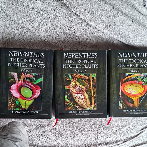 Nepenthes the tropical - nepenthes:,