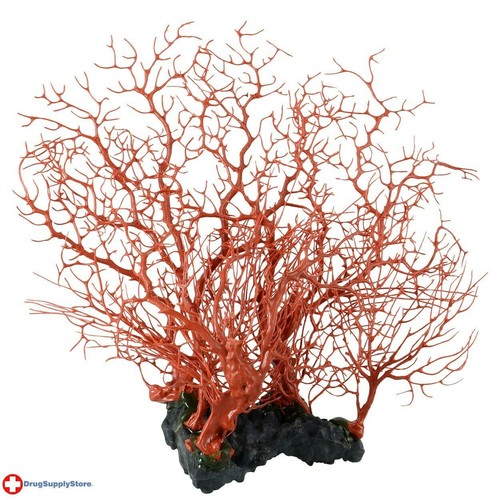 Sea fan coral red - coral, item#