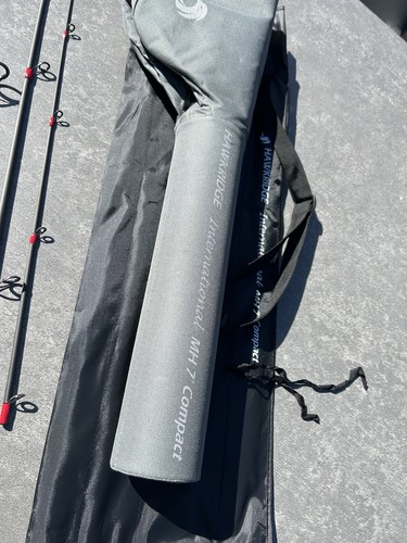 Piece 20 80g casting - 2.1m, 20-80g
