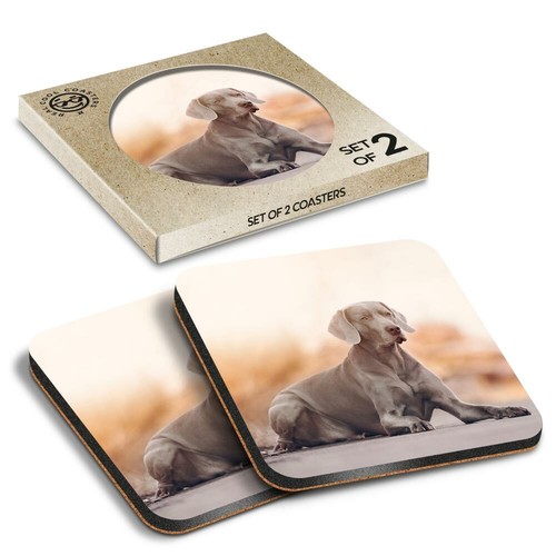 Boxed square coasters - coasters,