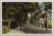 The Avenue Tree Lined Street