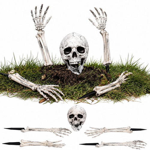 Halloween skeleton decoration - skeleton,