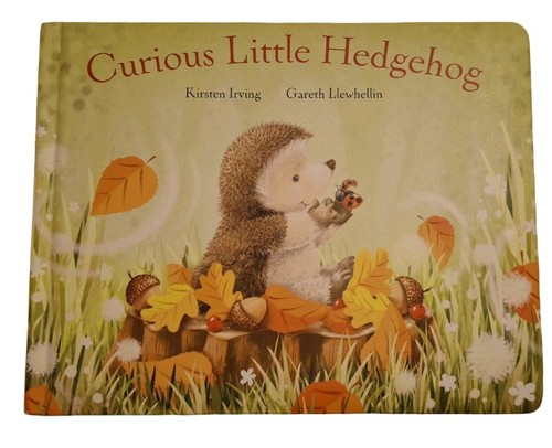 Curious little hedgehog - little,