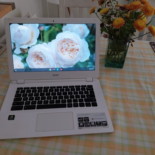 Acer chromebook laptop - chromebook,