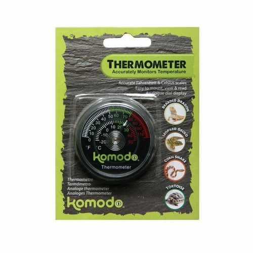 Komodo reptile analogue - reptile,