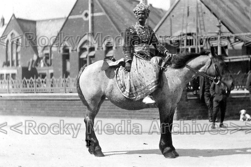 Gxx man horse higham - horse,,