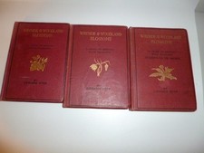 3 x vintage books Wayside & Woodland Blossoms published 1941/1944