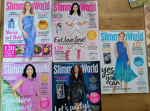 Bundle slimming world - bundle,