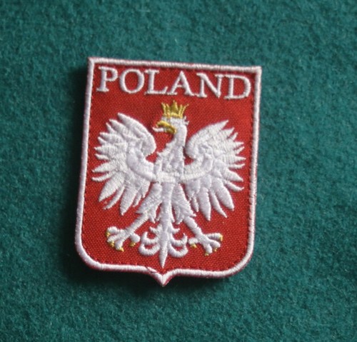 Beautiful polish army patch - polish,