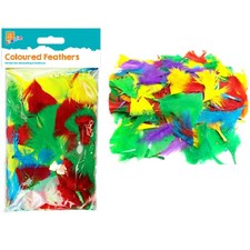 COLOURED CRAFT FEATHERS Large
