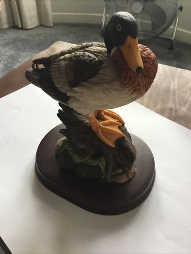 Beautiful ceramic mallard - a,