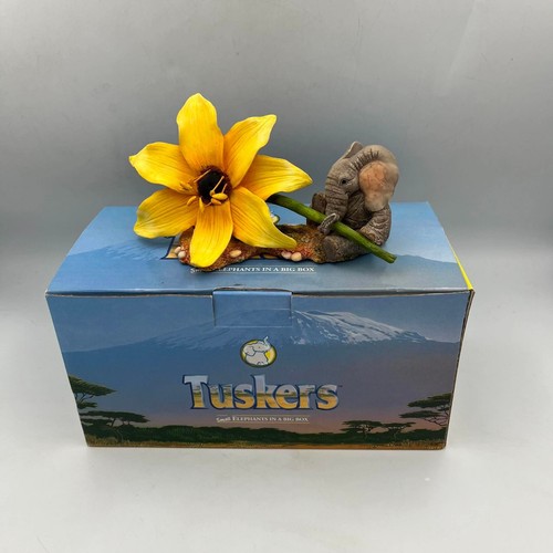 Tuskers love you this - tuskers,