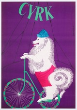 Cyrk samoyed cycling 1965 - samoyed,