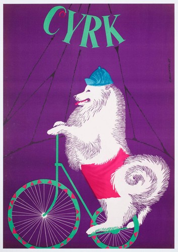 Cyrk samoyed cycling 1965 - cyrk,