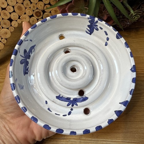 Dragon fly ceramic - fly, berry