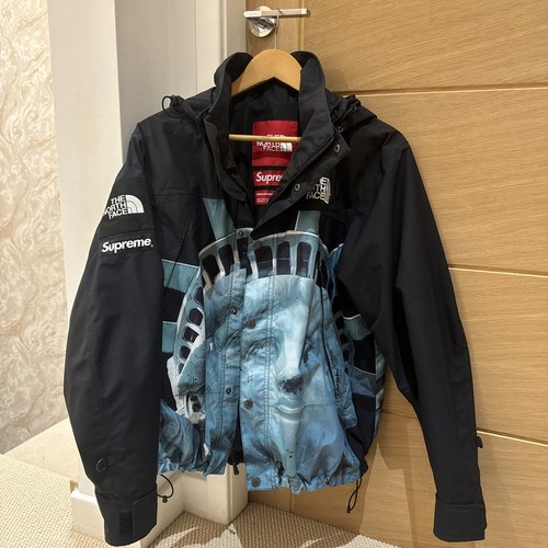 North face supreme statue of - face,