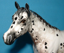 Beswick Appaloosa Stallion