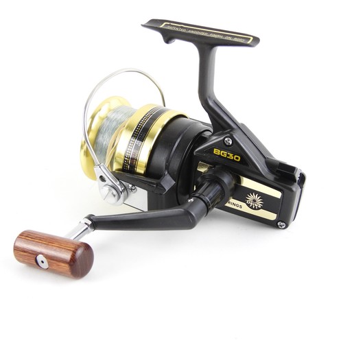 Daiwa bg30 spinning fishing - daiwa,
