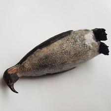 Irish Studio Pottery Penguin