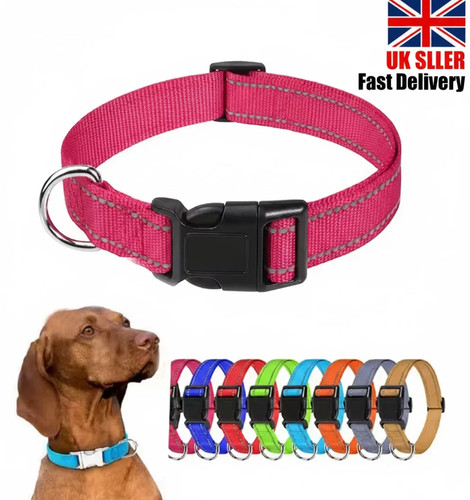 Dog collar reflective - collar,