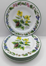 Royal Worcester ' Worcester Herbs'  17cms (7")  Black Mustard Side Plates x 5