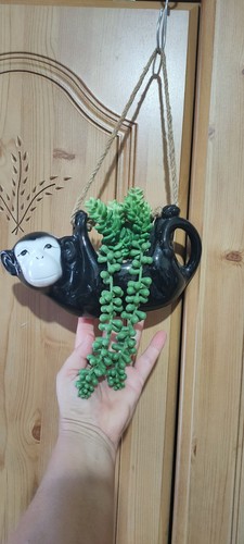 Monkey black articial plant - black,