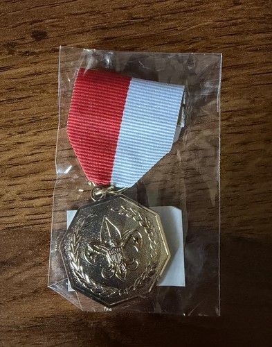 Boy scouts america gold - scouts,