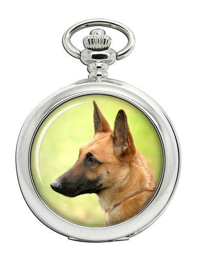 Belgian shepherd dog - belgian,