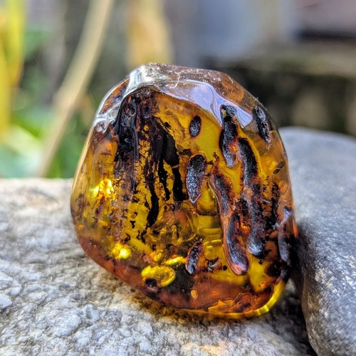 Large loose baltic - loose, amber